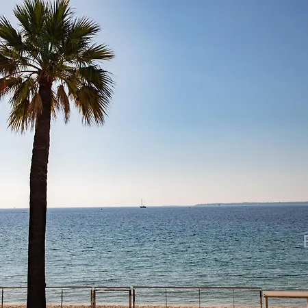 Large On The Seafront *