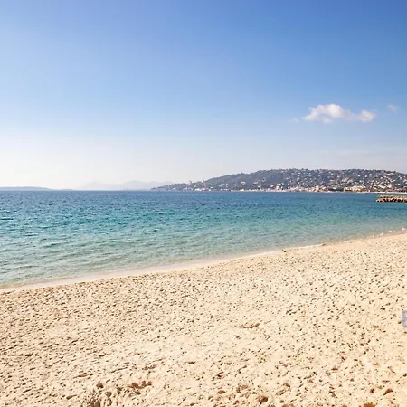 Large On The Seafront *